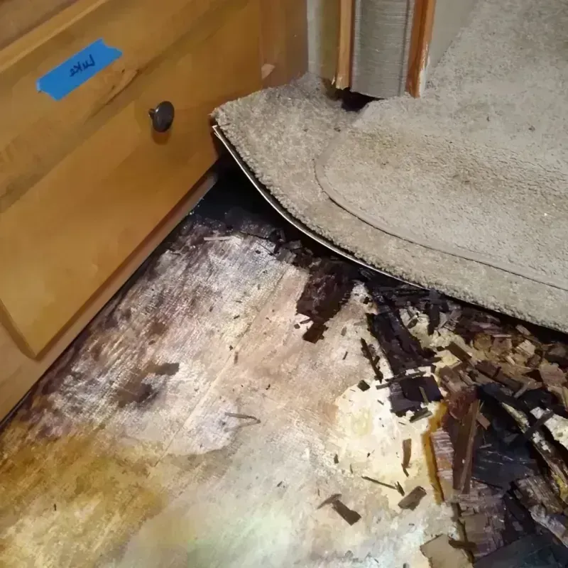 Best Wood Floor Water Damage Service in Dublin, PA